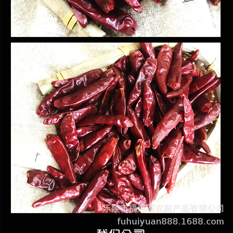 新一代辣椒详情_r6_c1.png