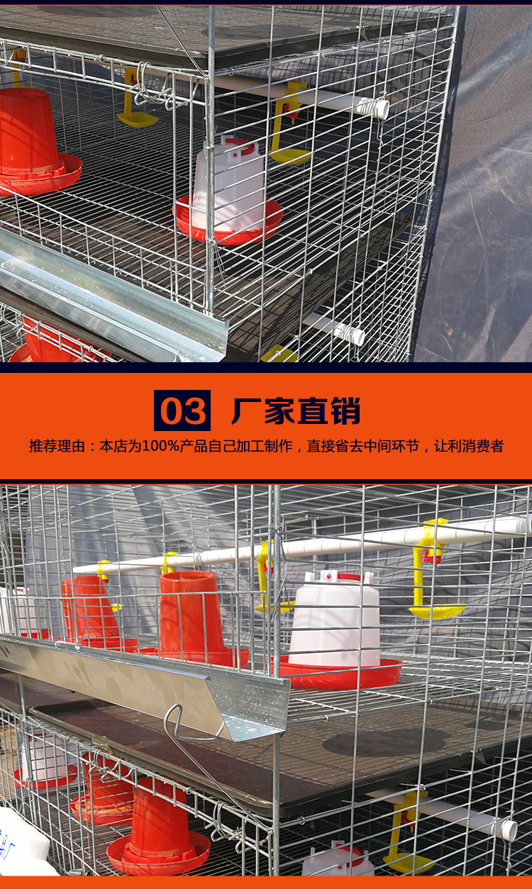 9235277298_423296225