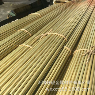 H62�S�~�~���⏽72mm�~�܃ȏ�46mm�F؛�����Ͼ��S�~�� �Ͼ����~��