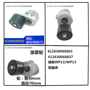 612600061290 Weichai Wp10 Engine Automatic Tensioner Heavy-Duty Truck Belt Tensioner Assembly