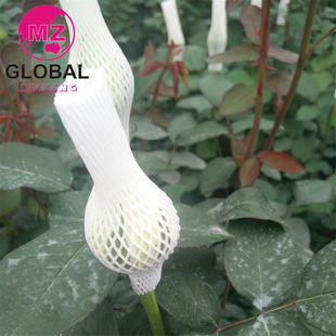 ���}�l؛���Ұ��b�W���ӾW��õ�廨��ĭ�W���Nˮ���Wˢ�ӾW��