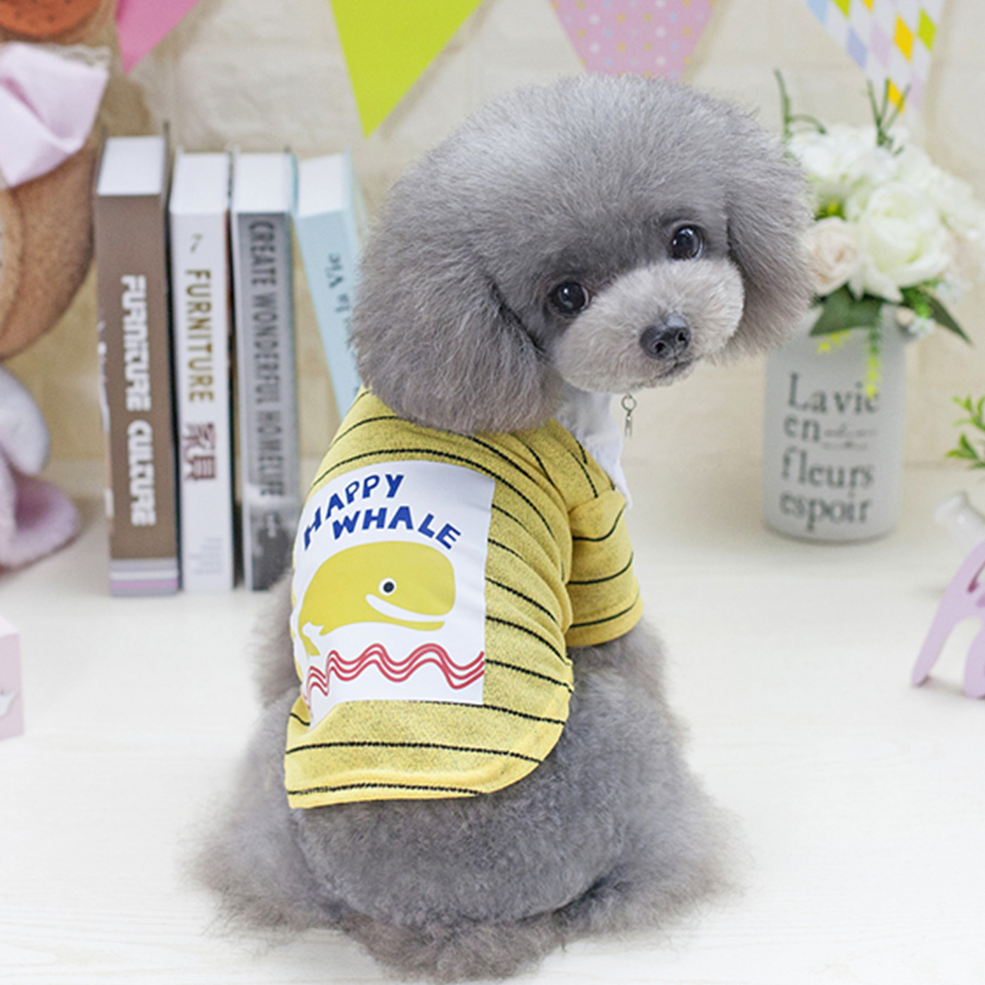 Pet Dolphin T-Shirt
