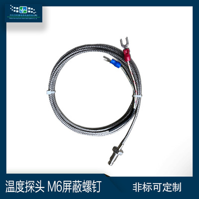 Surface temperature probe high temperature wear-resisting Assembly Thermocouple factory Direct selling Industry waterproof Armored Thermocouple