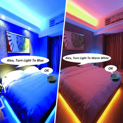 rgbww五合一控制器语音迷你控制器 手机 APP远程 定时 echo控制器