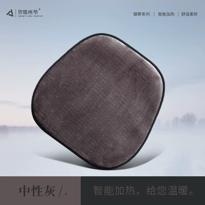 Cross-border exclusive car single seat Multi-function pad - neutral-ash-heating-single-seat