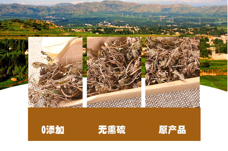Hai Jin Sha Teng (Lygodium japonicum) — Dried Climbing Fern Herb, Unsulfured New Crop quality and texture