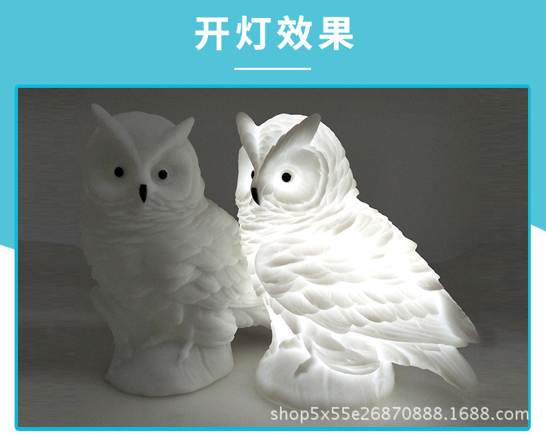 猫头鹰_11.jpg