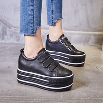 Bottes femme CHAT GéANT en Cochon bapi - Ref 3355182 Image 15