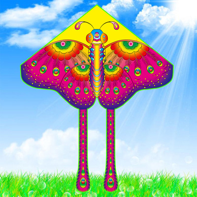 Weifang kite wholesale new pattern children Cartoon triangle butterfly kite Breeze Nasty easily fly Manufactor Direct selling
