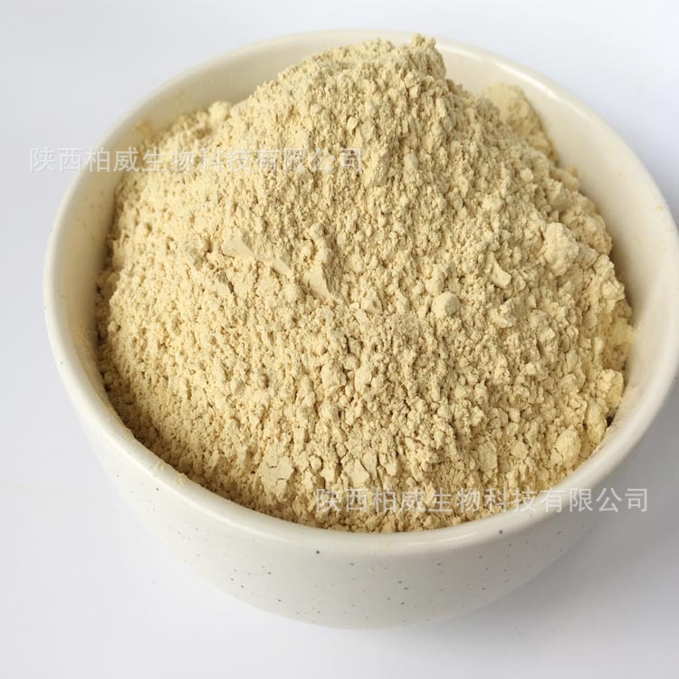 芹菜素 98% 芹菜提取物 520-36-5 天然原料 品质保证 量大优惠|ms