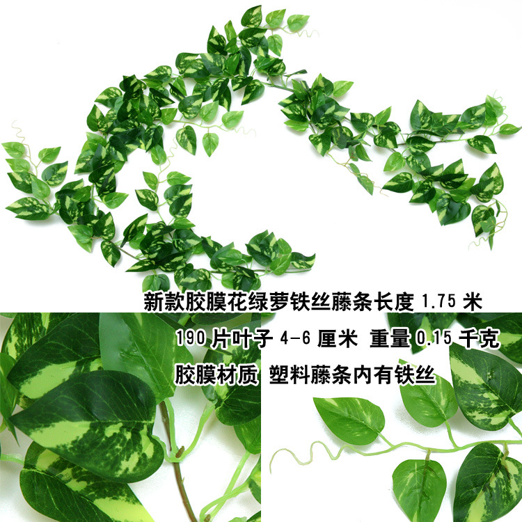 绿叶装饰藤条