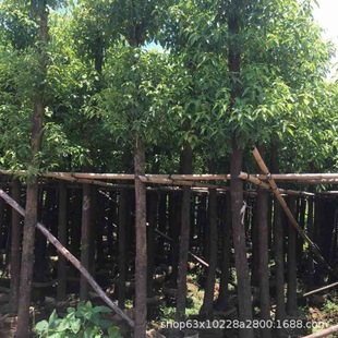 ����ֱ�N ���� ���� ��� ����� ���G�� ��Ҏ�� �G����ľ��r