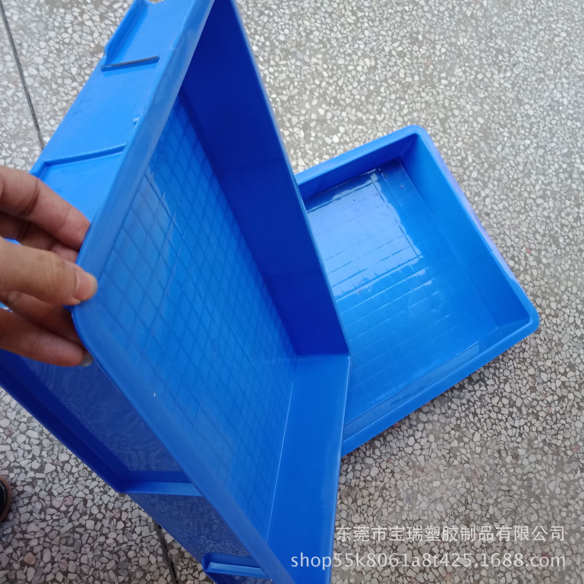 养殖大麦虫-黄粉虫专用塑料方盘 560*375*80mm蓝色浅盘