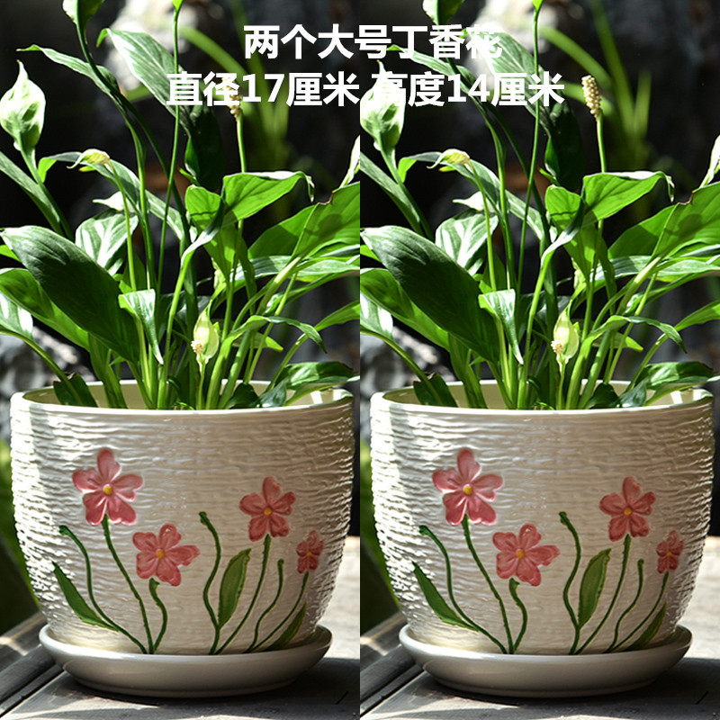 丁香花_副本.jpg