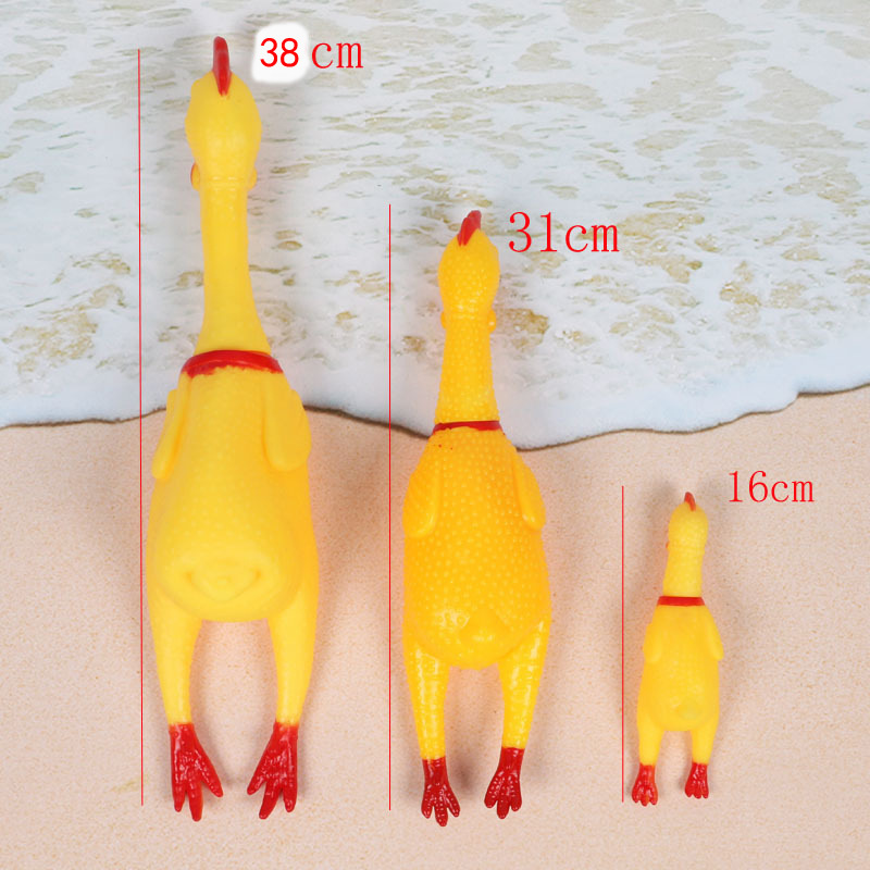 9293334850_1038463158