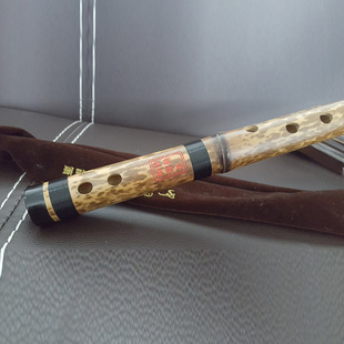 ��ʒ  ����S��ֱ�N�ߙn�ղؼ�������� �󎟼��������