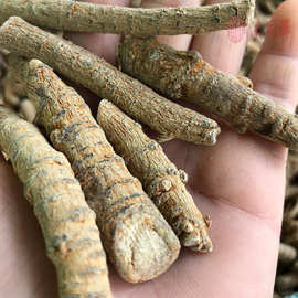 云南省文山三七特产三七根条 三七大根可代打三七细粉 5年三七根