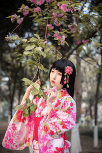 Japanese kimono women’s Pink wrinkle free ironless small grain kimono