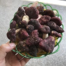 廠家直銷小紅菇干貨500g包郵農戶特紅蘑菇月子菇香菇批發