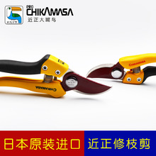 ���żҾ� ���������Bchikamasa�ձ���֦�����Դ�֦����ˇ����