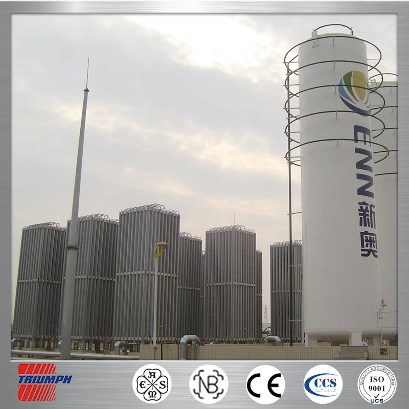 ASME/GB/NB水浴式气化器/电加热蒸汽加热式汽化器/空温式气化器