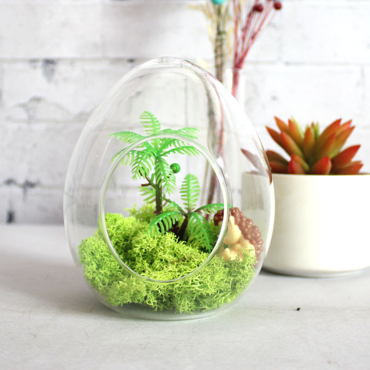 苔藓蛋型生态景观瓶城堡多肉植物微景观玻璃瓶玻璃摆件厂家直销 阿里巴巴 苔藓蛋型生态景观瓶城堡多肉植物微景观玻璃瓶玻璃摆件厂家直销 阿里巴巴