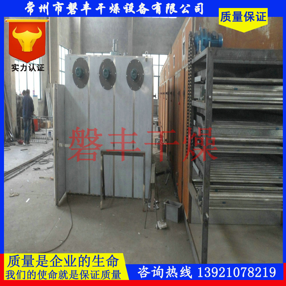 Eggplant slices Belt dryer Apple slices dryer DW series monolayer monolayer Belt dryer