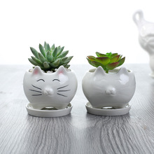 歐式萌萌卡通小貓白色陶瓷花盆 創意園藝跨境陽台多肉花盆擺件