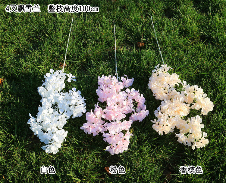 4叉飘雪兰 规格 宋体.jpg