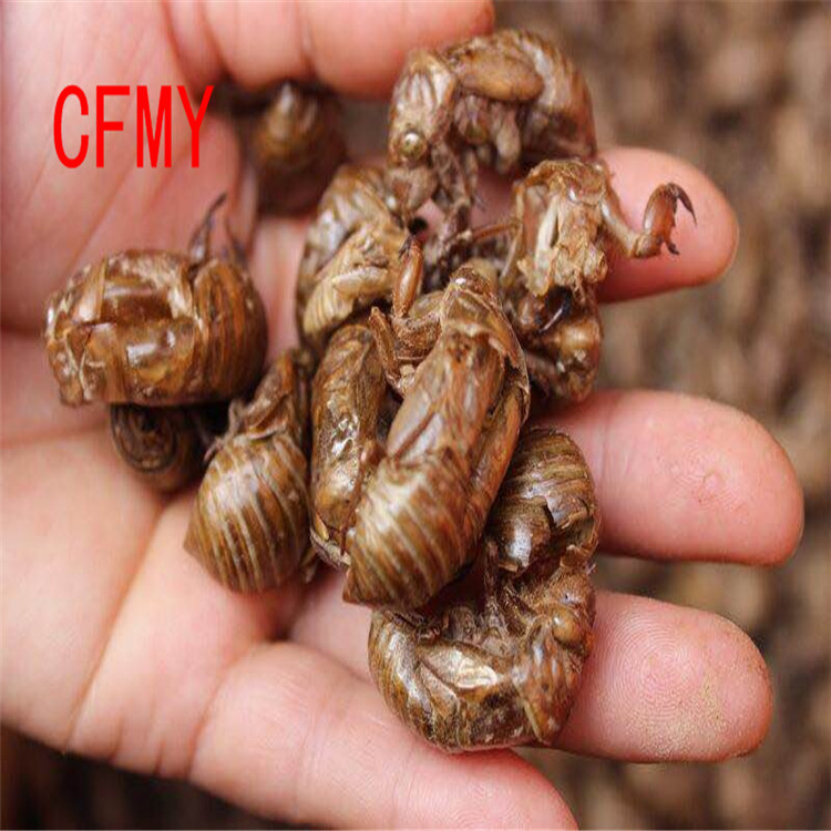 批发中药材水洗没错 虫蜕 蝉衣 知了壳 大量现货500g|ms