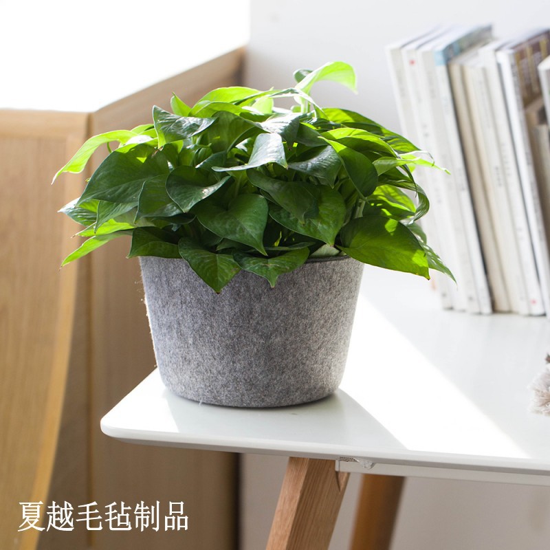 毛毡种植桶 多肉花盆 新款家居摆件花篮卧室装饰品厂家直销