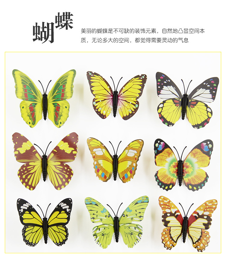 蝴蝶套版_17.jpg