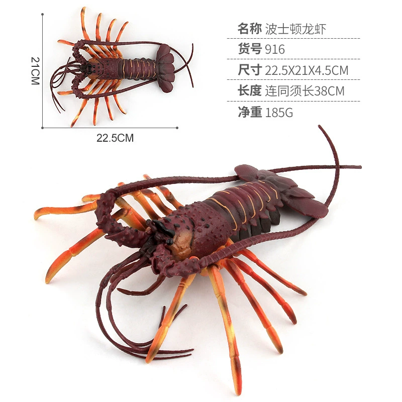 Marine realistic animal model, toy, plastic doll