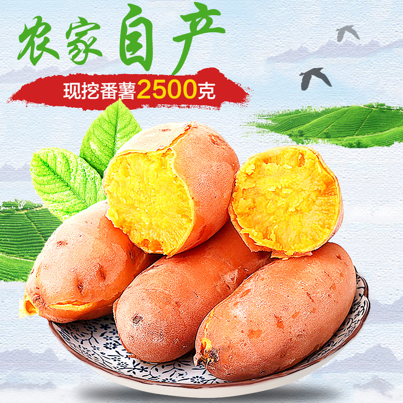 云南特产建水高原沙莜红薯现挖现发新鲜农家自种高原甜薯5斤包邮