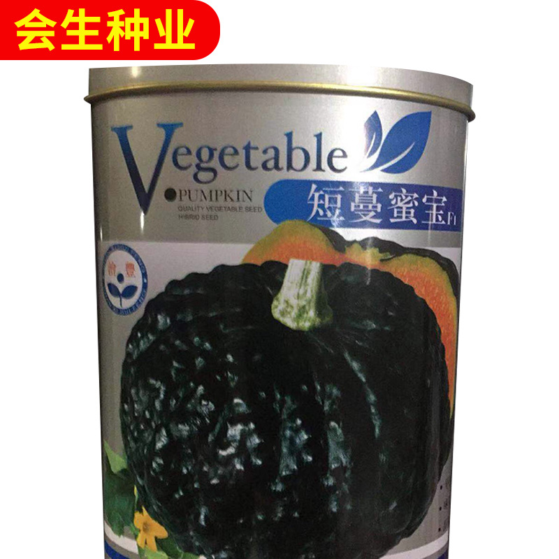 wholesale supply Vegetables seed Fruit pumpkin Mibao Short Tree Sweet glutinous without residue Chinese chestnut Pumpkin Seeds