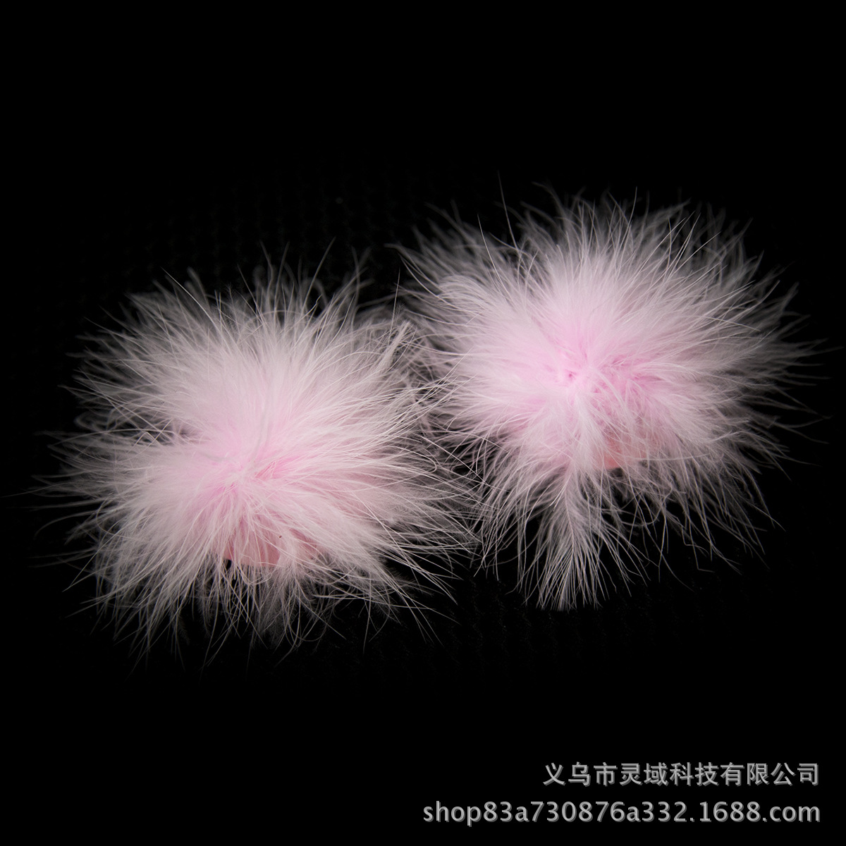 IMG_1999 拷贝