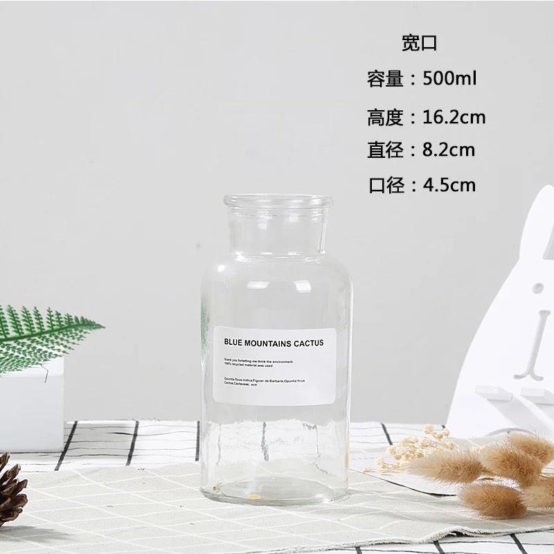 Botella de deseos luminosa botella de vidrio creativa qixi amante graduación regalo Navidad LED deriva botella estrella