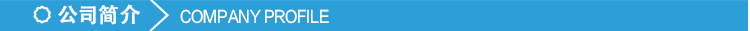 公司介绍