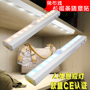 ���ȟ� �Б��� �l�Ο� ���w�Б���