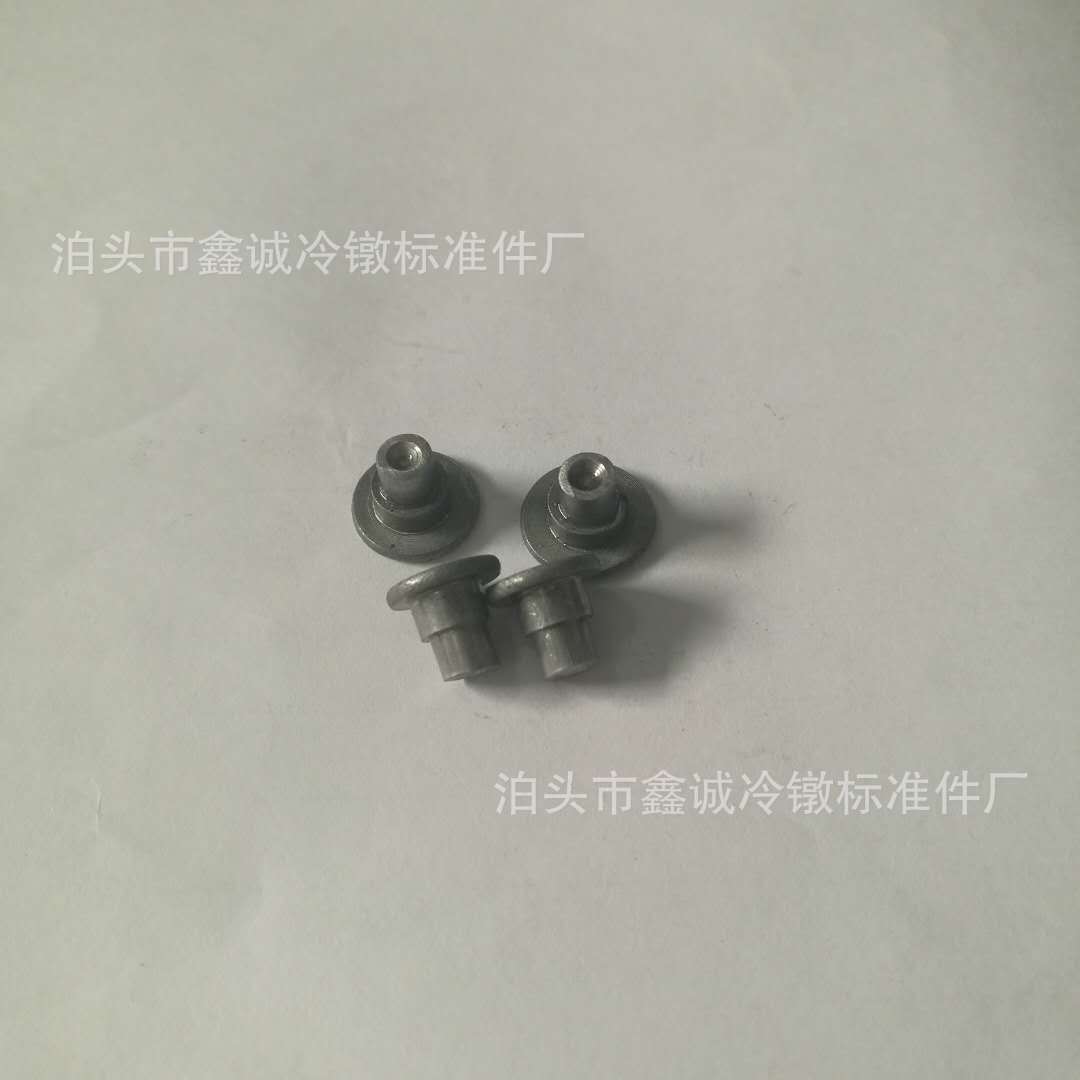 Hebei Cangzhou Direct selling The air Rivet solid Flat head rivet Half hollow screw Countersunk head screws