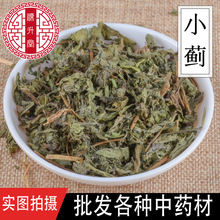 批发中药材小蓟 优质不硫草药刺儿菜另有大蓟 一件代发量大价优