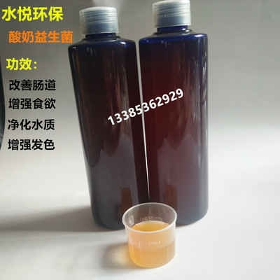 酸奶益生菌水族硝化菌调理肠胃预防厌食增强食欲龙魟鱼缸养鱼用品