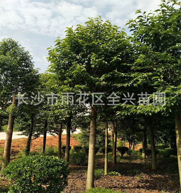 mmexport1528374454476