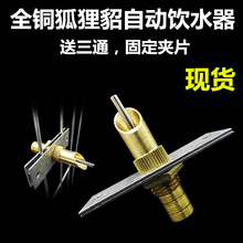 水貂 狐狸 兔自动饮水器 全铜一体 厂家直供 饮水嘴  笼子 饮水器