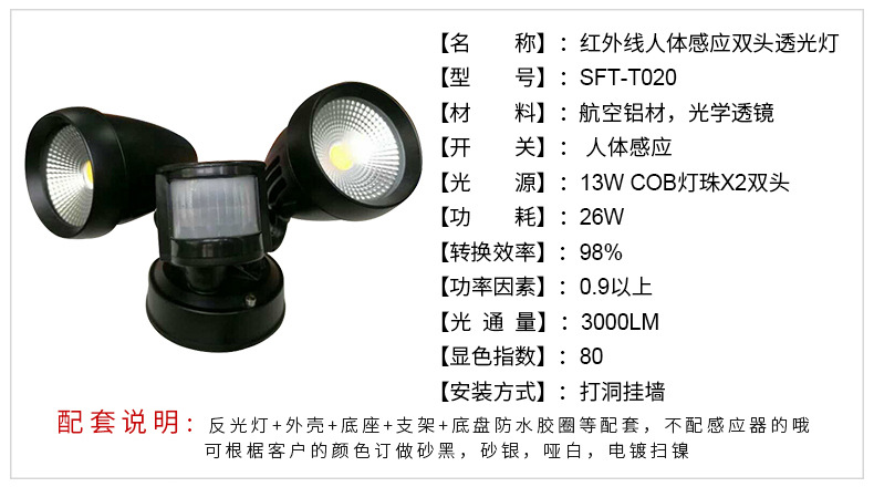 澳洲新款双头感应壁灯