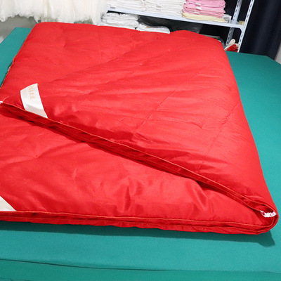 厂家直销批发100%桑蚕丝被特级长丝全棉提花婚庆蚕丝被母子蚕丝被