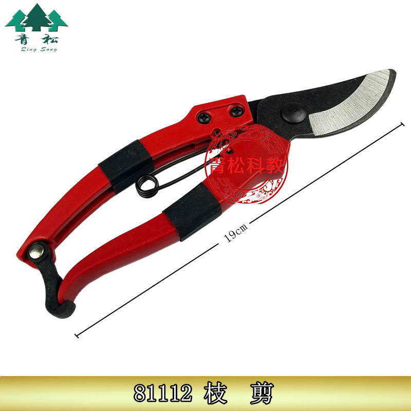 枝剪树枝修剪刀园艺小学采集捕捞工具生物实验器材 教学仪器