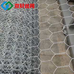 �羳������\�����F�z�W늏S�ܵ����ؾW���w�����F�z�W