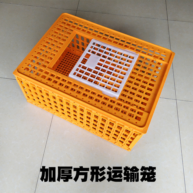鸡笼子 养殖场专用笼 新料加厚方形家禽运输周装箱 厂家直销