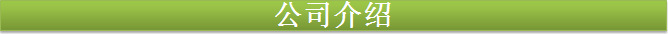 3公司介绍